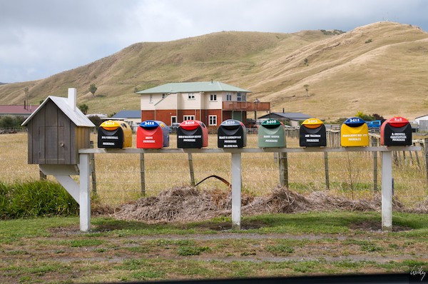 New Zealand 09 10  110